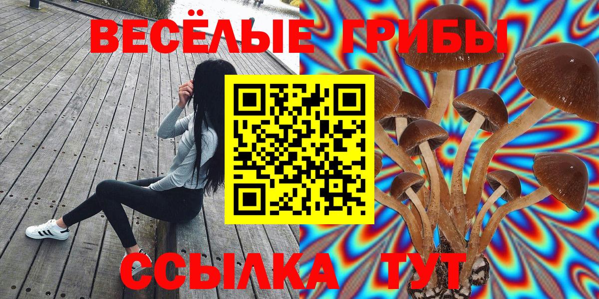 Ступино  Псилоцибиновые грибы прущие грибы  Вход с VPN 